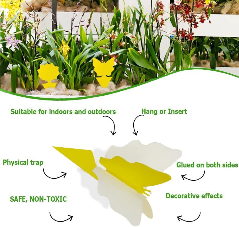 20 Pack Pest Sticky Traps - Sprinting Home
