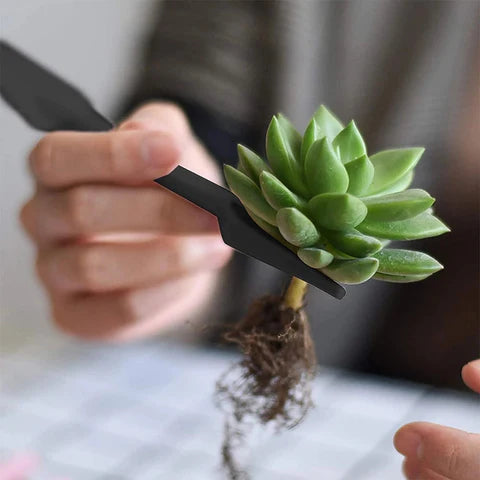 Succulent Plants Tool Set - Sprinting Home