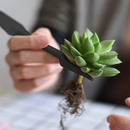 Succulent Plants Tool Set - Sprinting Home