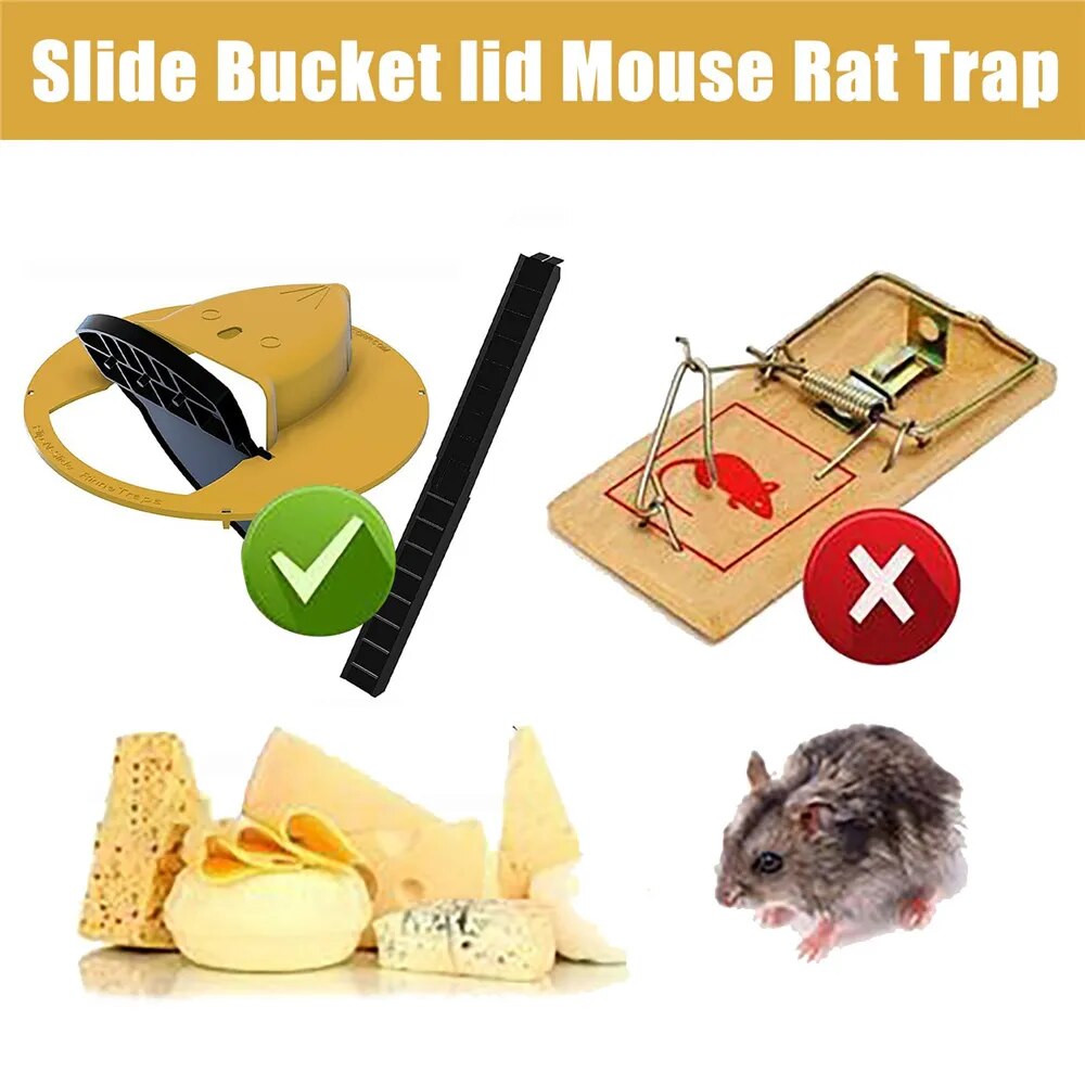 5 Gallon Bucket Rat Trap, DIY Homemade Rat Trap 