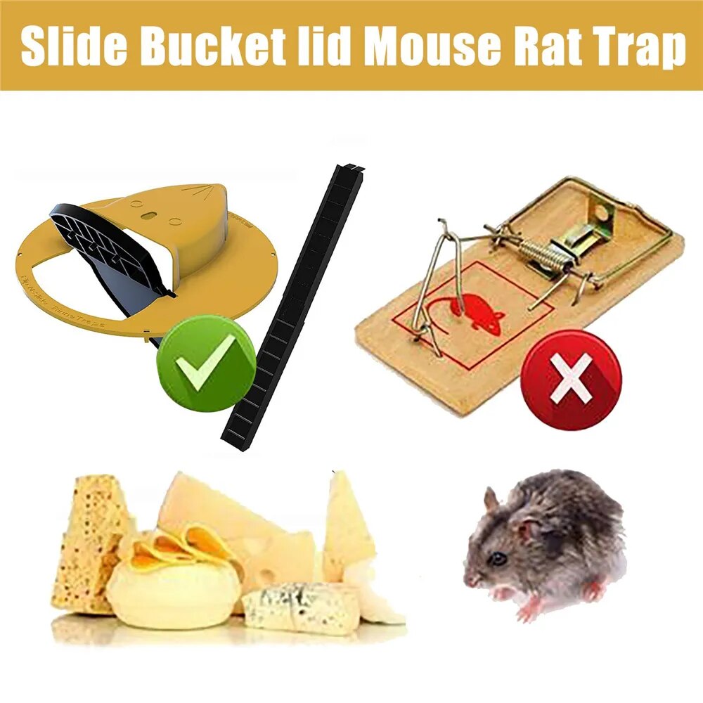 Mouse Trap Reusable 5 Gallon Lid - Sprinting Home